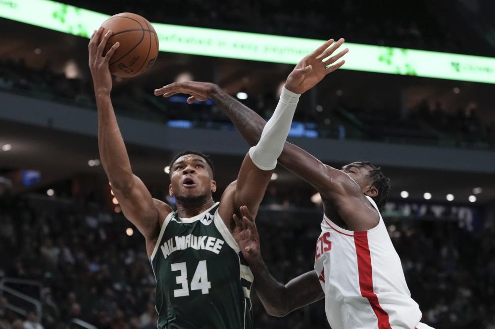 小金从小就 小金从小就