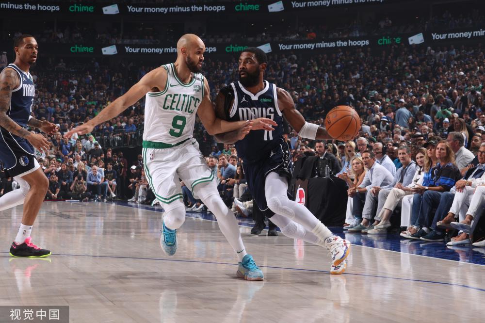 的金毛猎犬 的金毛猎犬